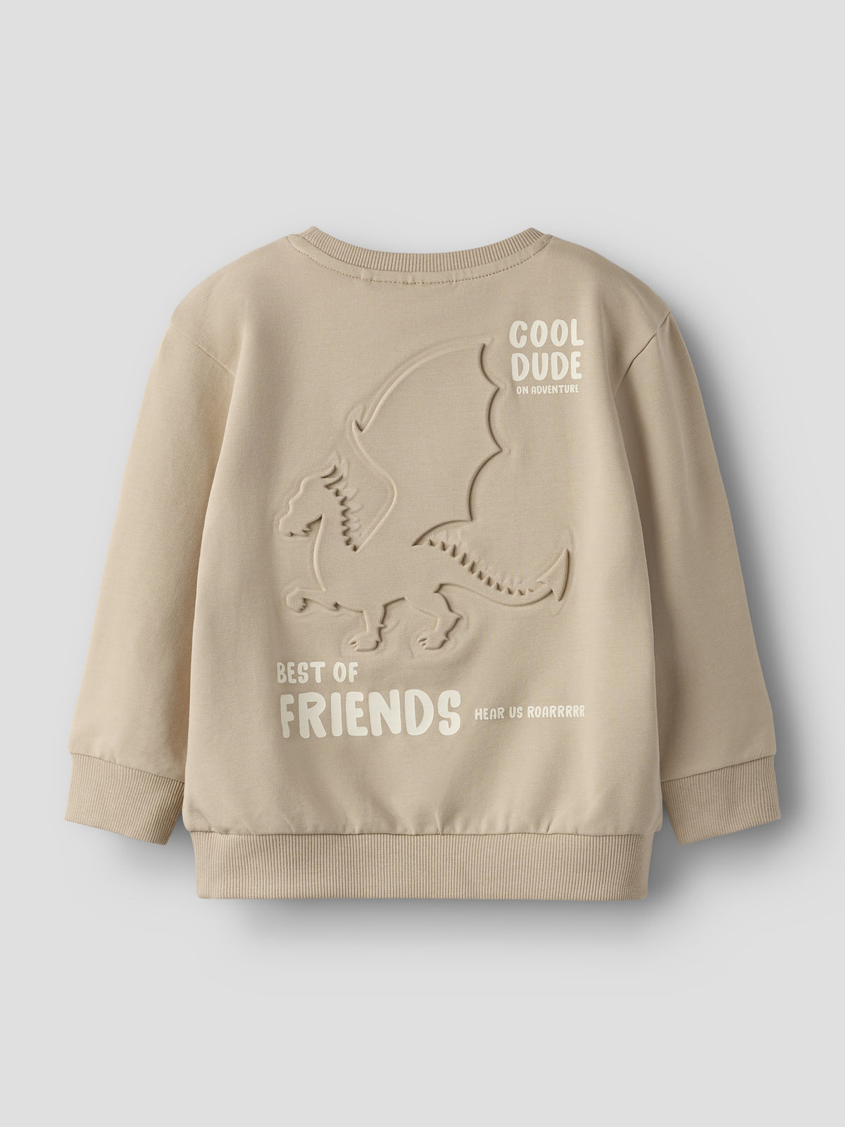Sweater cool dude